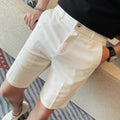 Men's Elastic Waist Summer Shorts