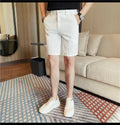 Men's Elastic Waist Summer Shorts