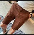 Men's Elastic Waist Summer Shorts