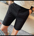 Men's Elastic Waist Summer Shorts