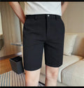 Men's Elastic Waist Summer Shorts