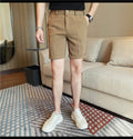 Men's Elastic Waist Summer Shorts